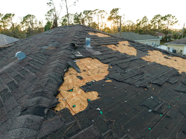 Best Skylight Installation and Repair  in Barbourmeade, KY